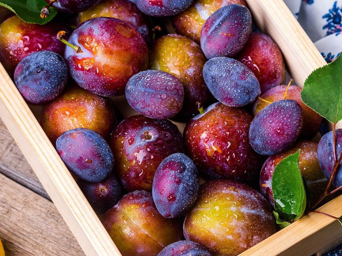 10 bonnes raisons de manger des figues