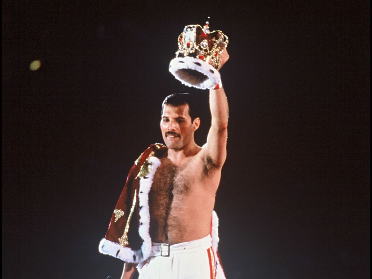 Qui A Herite De Freddy Mercury