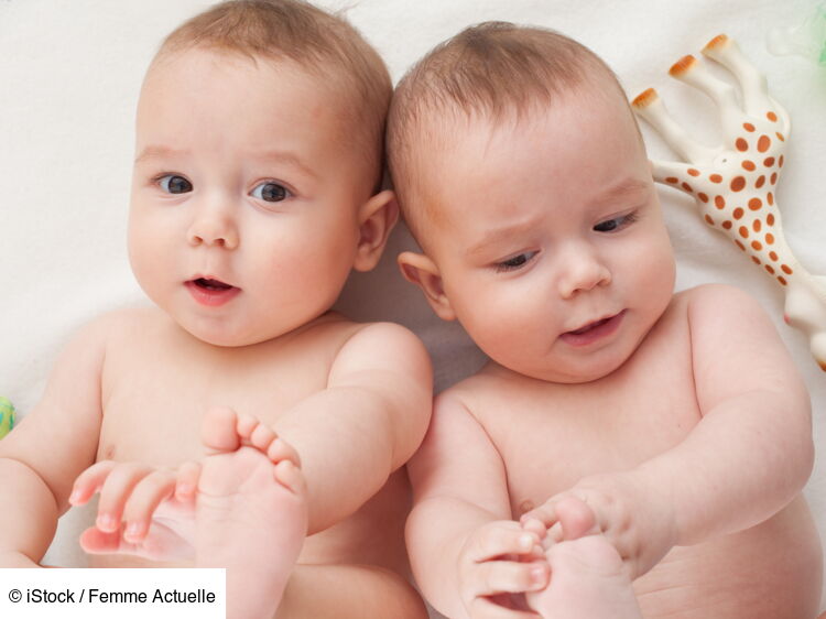 Faux jumeaux dizygotes quelles différences avec les vrais jumeaux