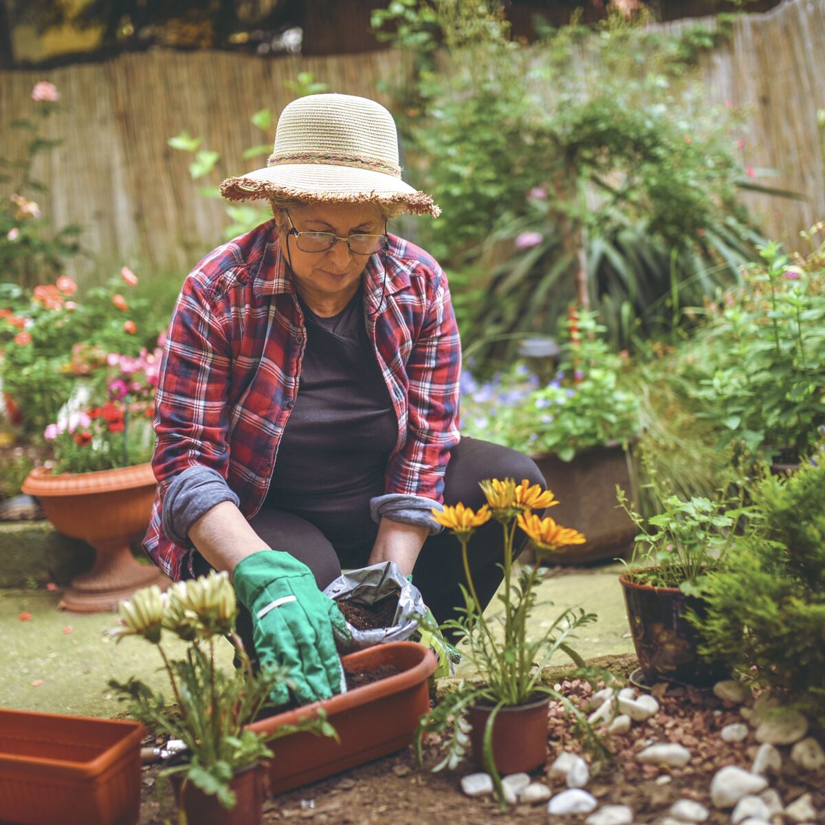 Nos conseils pour réussir le paillage de votre jardin : Femme Actuelle Le  MAG