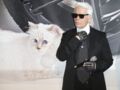 Agent, nutritionniste, gouvernante... La nouvelle vie de Choupette, la chatte de Karl Lagerfeld