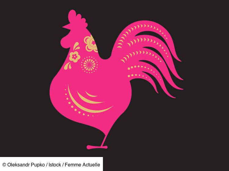 femme coq