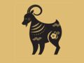 Horoscope chinois 2022 de la Chèvre : les prévisions de Marc Angel