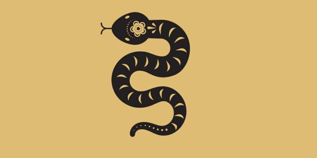 Horoscope chinois 2022 du Serpent : les prévisions de Marc Angel