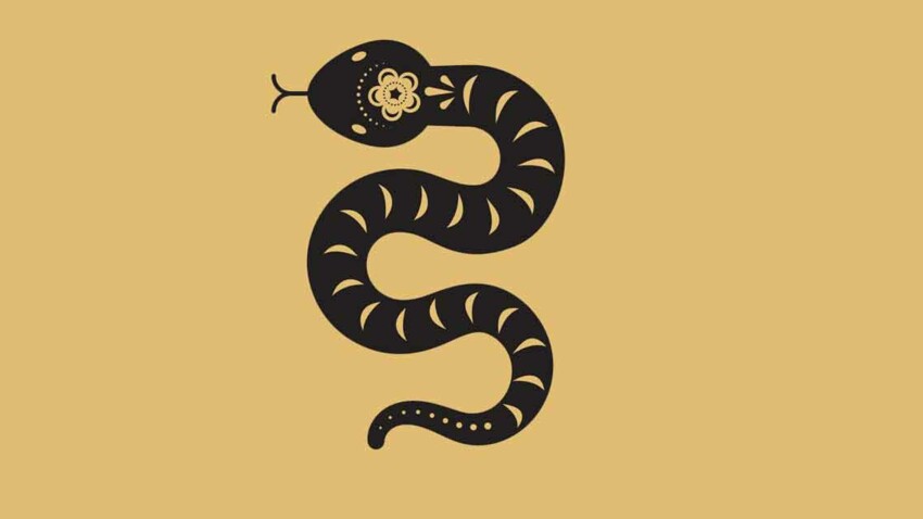Horoscope chinois 2022 du Serpent : les prévisions de Marc Angel