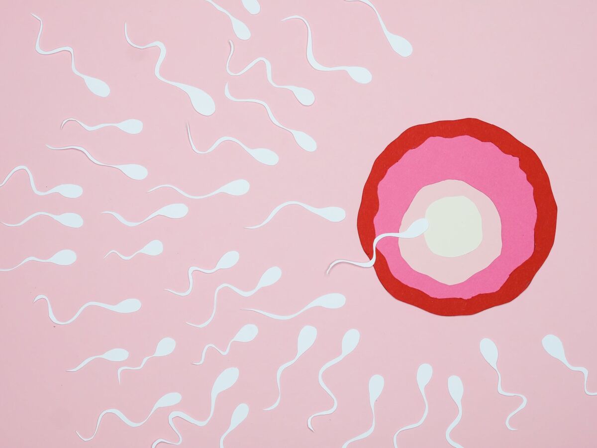 OATS : tout savoir sur cette anomalie spermatique qui peut impacter la fertilité