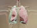 Pneumothorax : symptômes, causes, gravité et guérison