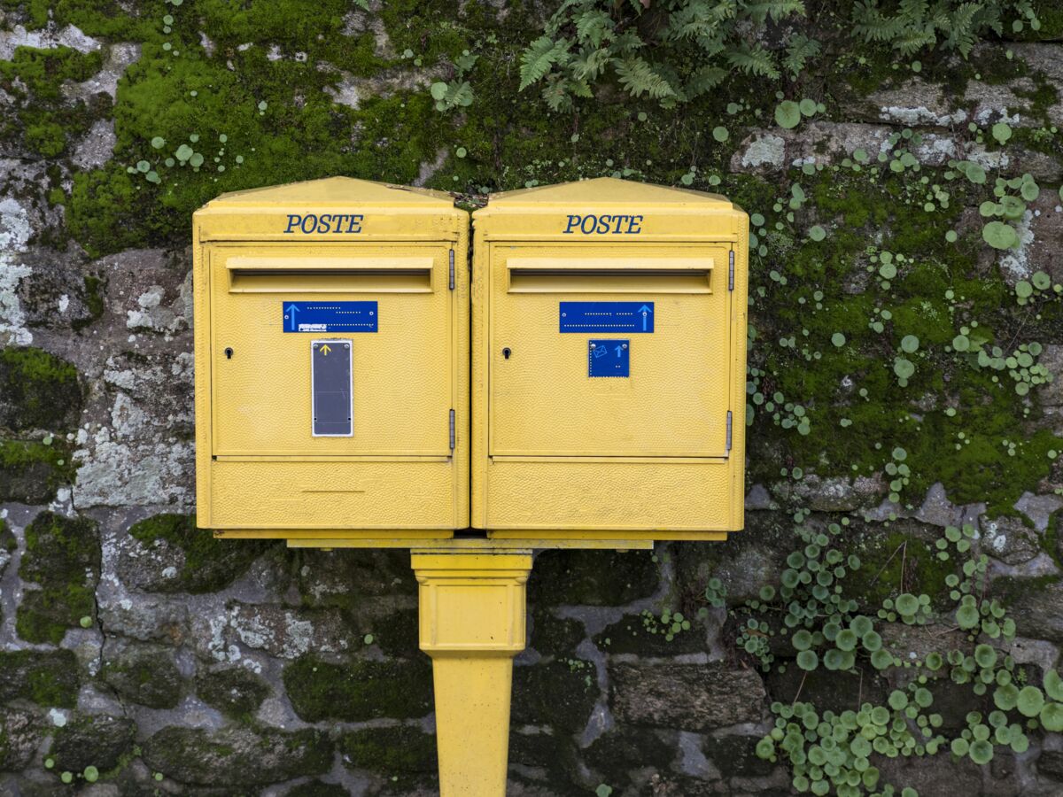 Colis ou courrier perdu : comment faire une réclamation à La Poste ? :  Femme Actuelle Le MAG