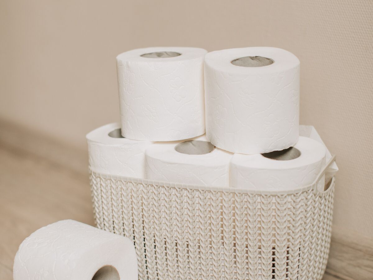 Par quoi remplacer le papier toilette ? Alternatives zéro déchet – Hilloo  environnement
