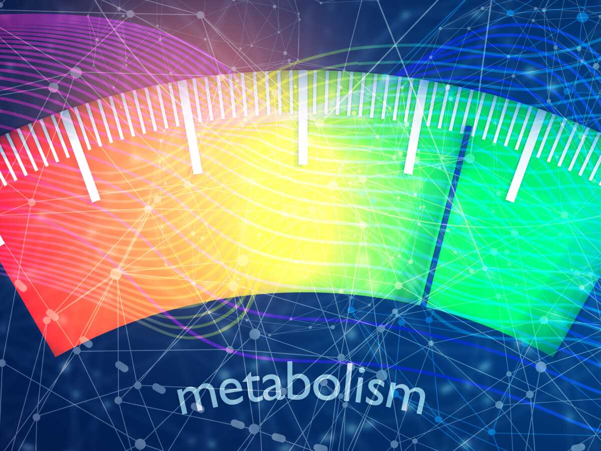 Test : avez-vous un métabolisme paresseux ?
