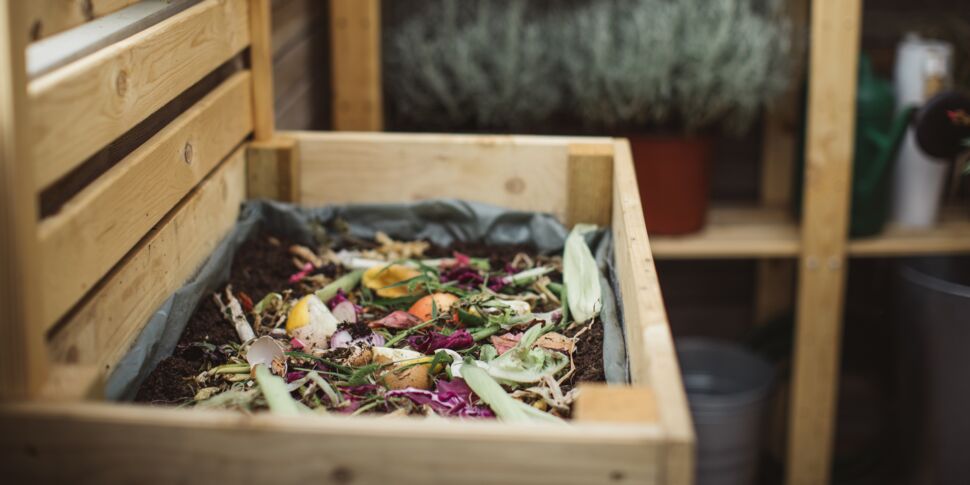 Quels sont les aliments à ne jamais mettre au compost ?