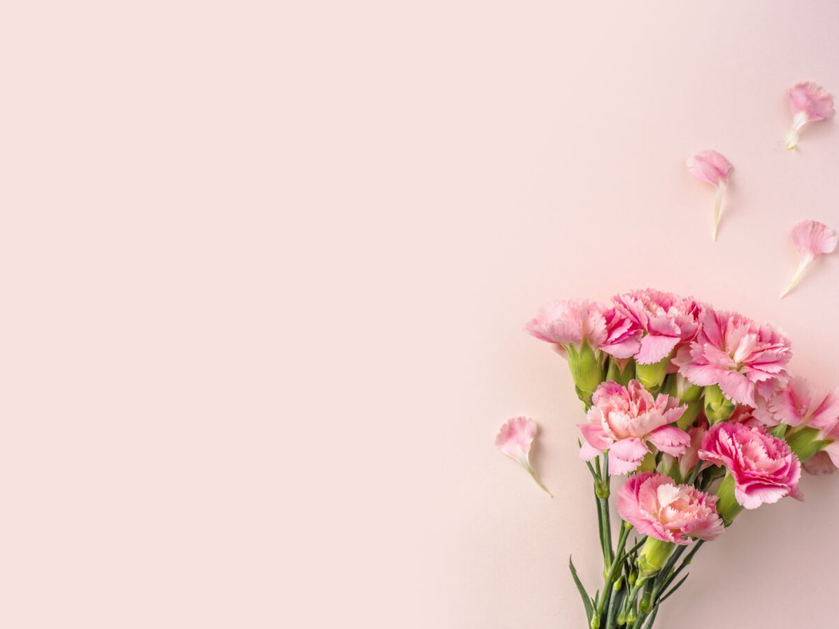 Saint Valentin Quelles Fleurs Choisir Pour Dire Son Amour Femme Actuelle Le Mag
