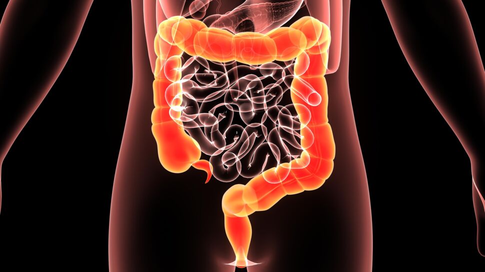 Digestion : définition, humaine, durée, étapes