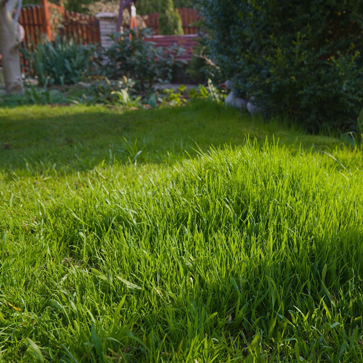 Bassin de jardin préformé, hors sol… On plonge : Femme Actuelle Le MAG