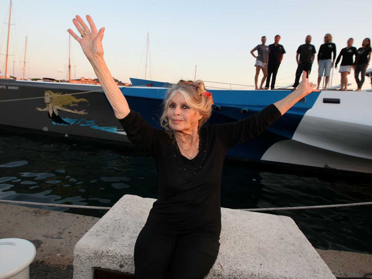 Brigitte Bardot : sa vie bientôt adaptée en série ?