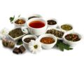 Nos conseils pour choisir un thé équitable et durable