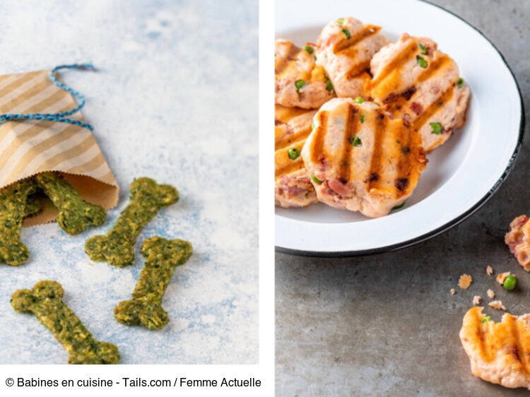 2 recettes maison de friandises pour chiens + les conseils de la