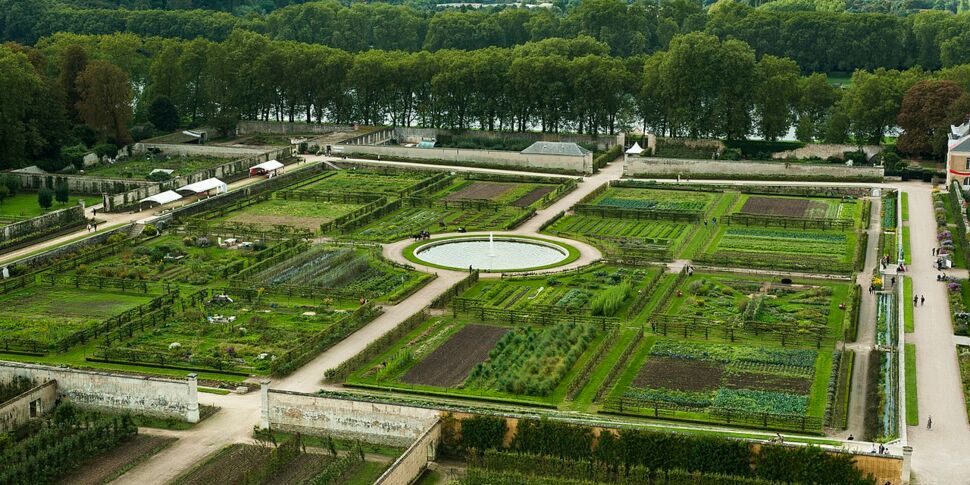 Versailles : tout ce qu'il faut savoir sur le Potager du Roi