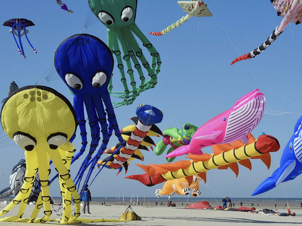 Berck-sur-mer : voici le plus grand cerf-volant du monde