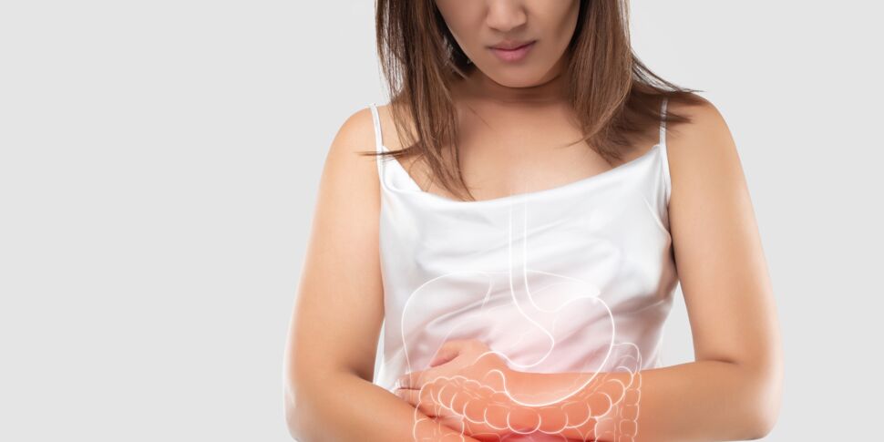 Intestin grêle : fonctions et pathologies 