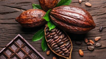 Cacao cru, le nouveau chocolat à cuisiner : Femme Actuelle Le MAG