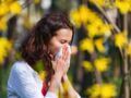 Allergie aux pollens : quels sont les départements les plus touchés ?