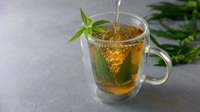 Tisane de Sauge Bio, Infusion