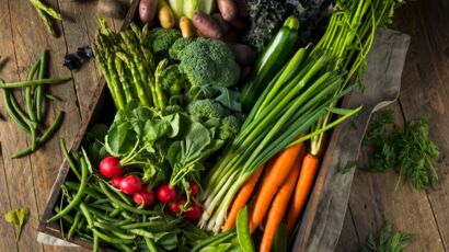 8 légumes à faire pousser sans terre - Depuis mon hamac
