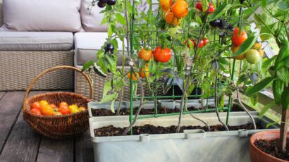 Quels revêtements pour mon balcon ? : Femme Actuelle Le MAG