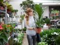 Où acheter des plantes pas cher ?