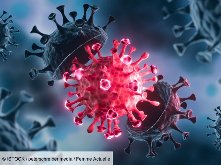 Covid-19 : cette découverte empêcherait le virus de s'attaquer aux cellules