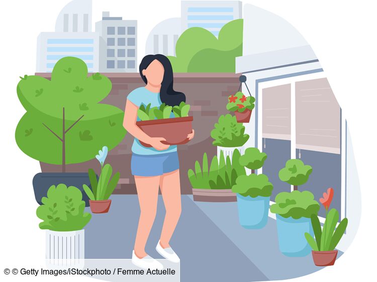 Balcon, terrasse, jardin : comment créer son potager facilement ? : Femme  Actuelle Le MAG