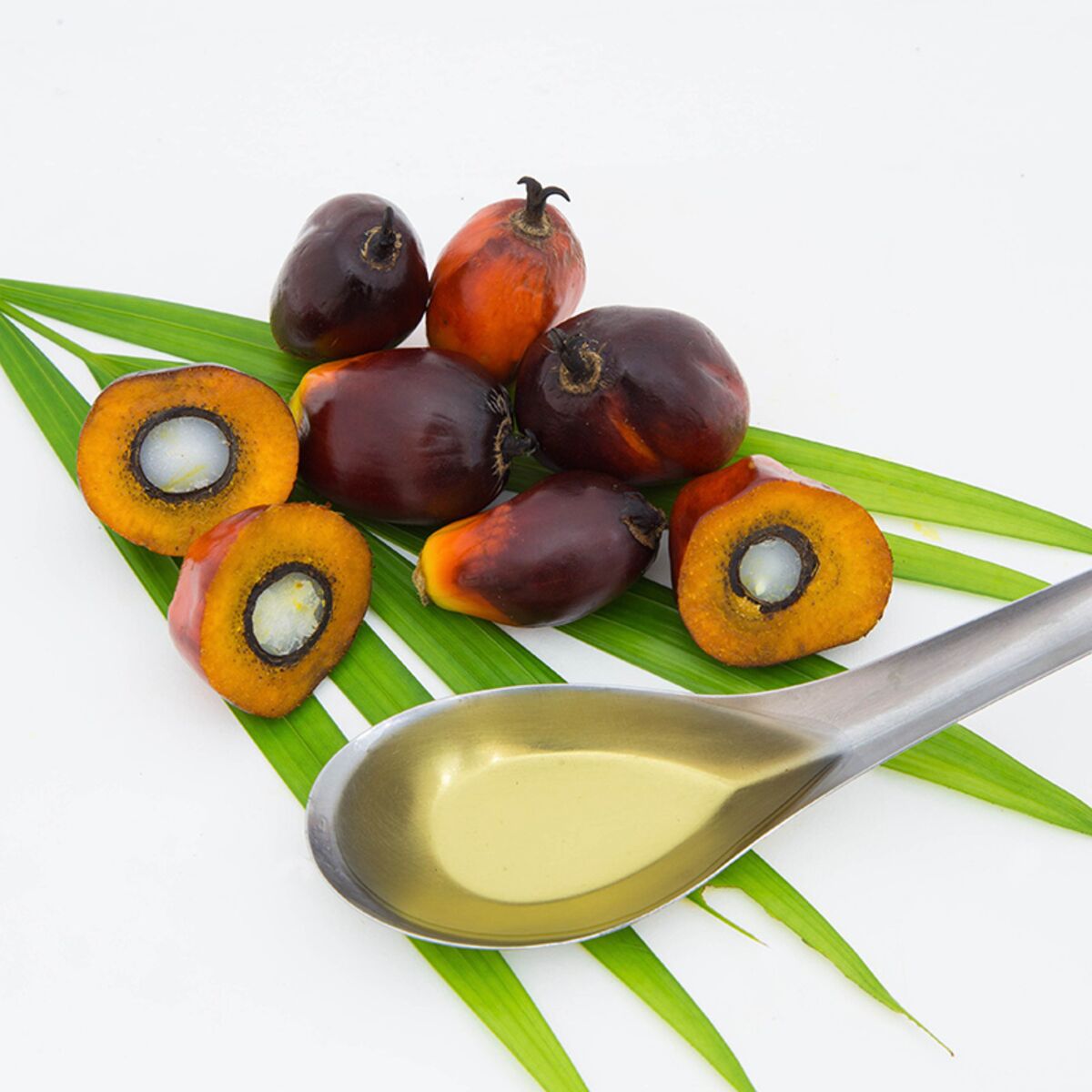 Tout savoir sur l'huile de palme - La Fourche