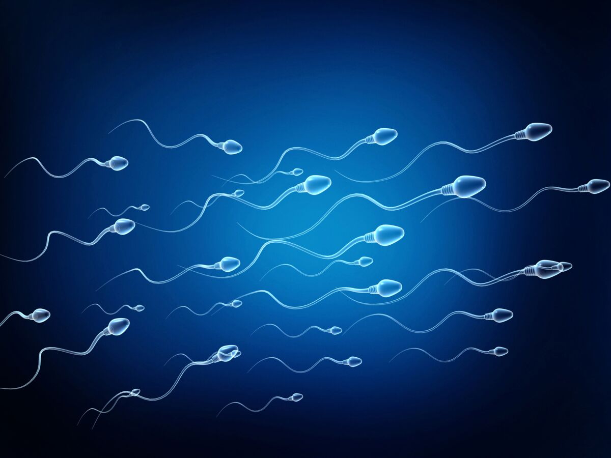 Fertilité masculine : des polluants chimiques font baisser la qualité du sperme