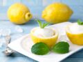 Nos conseils et recettes pour réaliser de délicieux sorbets au citron