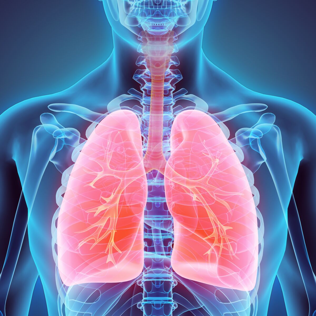 Fonction pulmonaire - RespiFIL - Filière de santé des maladies respiratoires  rares