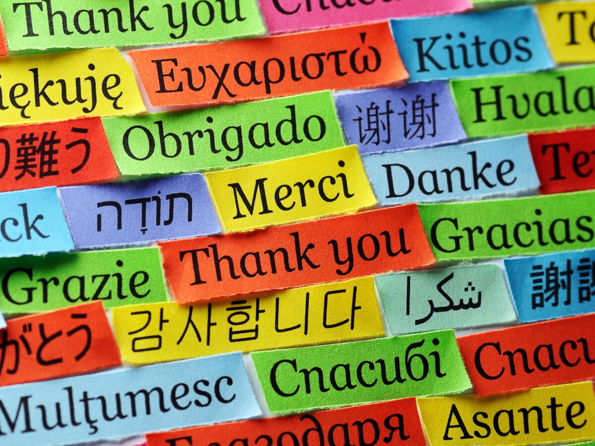 Quelles langues sont les plus parlées dans le monde ? : Femme Actuelle Le  MAG