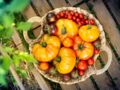 6 infos insolites sur la tomate, le fruit star de l'été