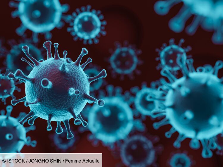 Virus Langya : symptômes, nombre de cas... ce que l'on sait sur cette nouvelle maladie détectée en Chine