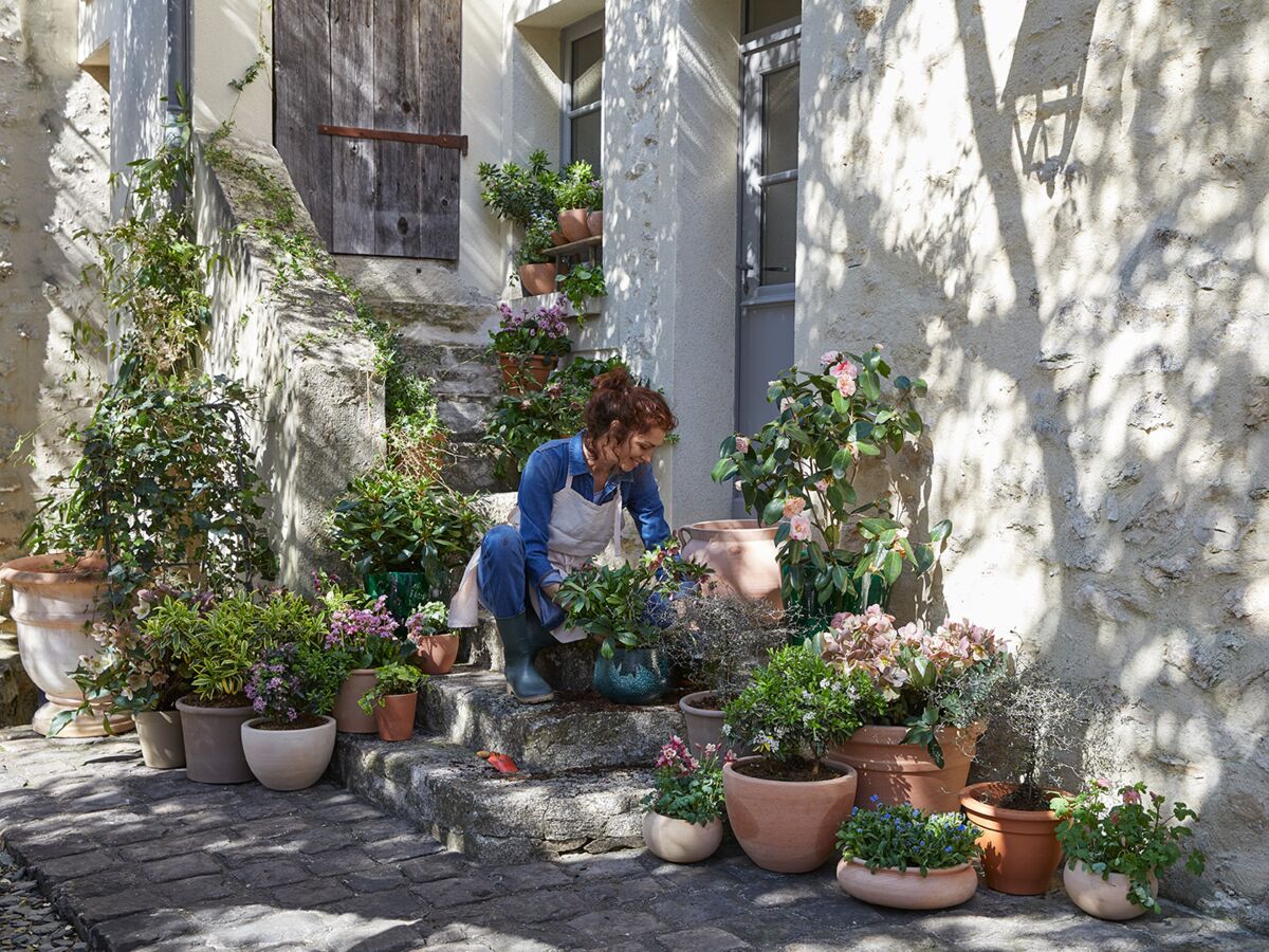 Comment identifier les parasites et maladies des plantes ?