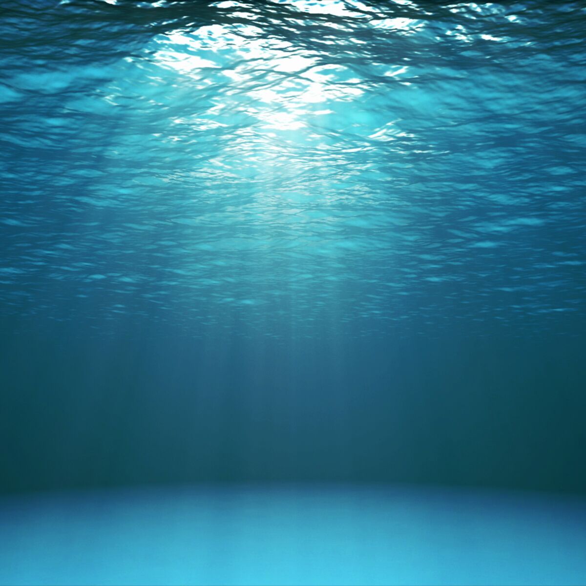 Comment S Appelle La Phobie Des Trous Thalassophobie : origine, symptômes… Comment traiter cette peur panique des  profondeurs maritimes ? : Femme Actuelle Le MAG