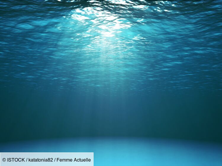 Thalassophobie : origine, symptômes… Comment traiter cette peur panique des profondeurs maritimes ?