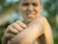 Moustiques : une étude révèle comment ils nous repèrent pour nous piquer 