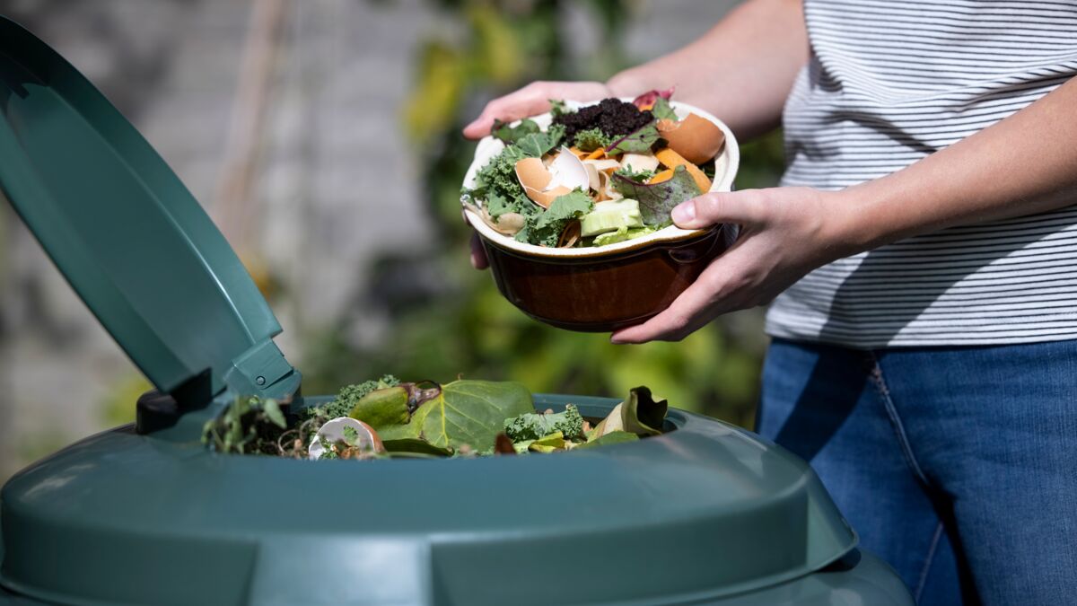 Quand utiliser un activateur de compost ? : Femme Actuelle Le MAG