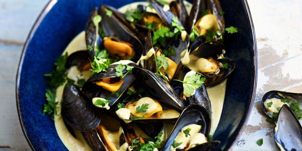 Moules à la crème et au curry facile et rapide : découvrez les recettes