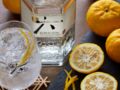 Cocktails faciles avec du gin : 3 recettes à tester sans tarder 