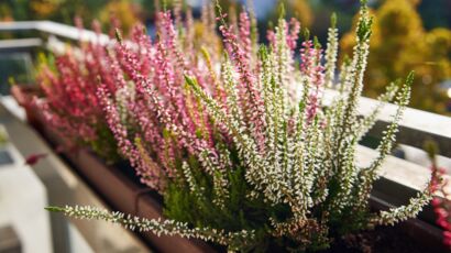 Quels revêtements pour mon balcon ? : Femme Actuelle Le MAG