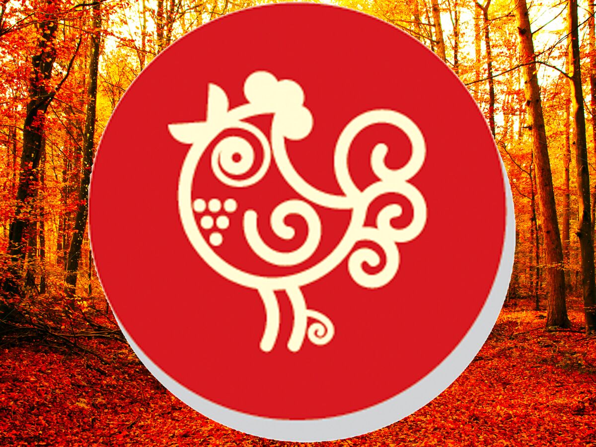 Horoscope chinois du mois de novembre 2022 pour le Coq : toutes nos prévisions