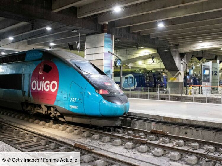Comment revendre son billet de train Ouigo ? : Femme Actuelle Le MAG