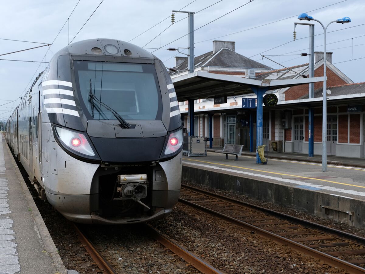 La somme annuelle que vous coûte la SNCF même quand vous ne voyagez pas !